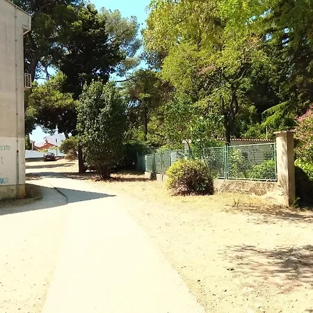 Apartment Vila Mignon 1