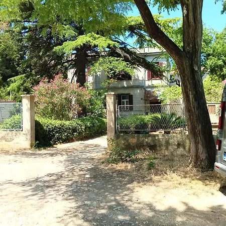 Apartment Vila Mignon 1 Pula