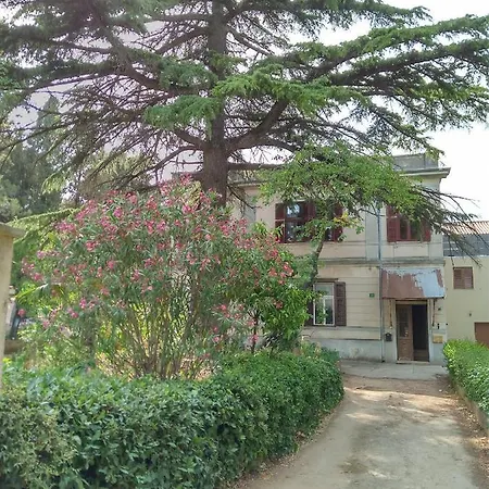 Vila Mignon 1 * Pula
